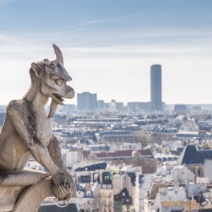 Watching over Paris from Notre Dame                          